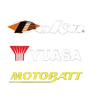 Power Sport Batteries 
